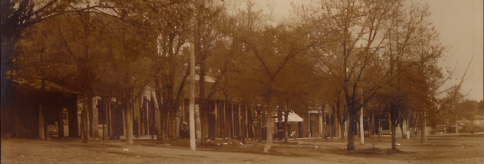 Historic photograph of Wartrace, from the town archives (3 of 8)